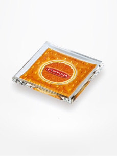 Celoskleněný mincovník Top Glass 3, 088