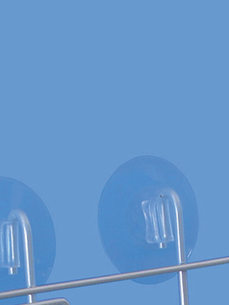 Suction Cup F8055 Suction Cup F8055