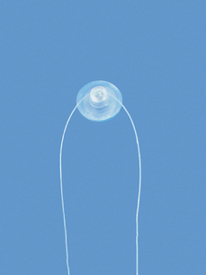 Suction Cup PC-SCS Suction Cup PC-SCS